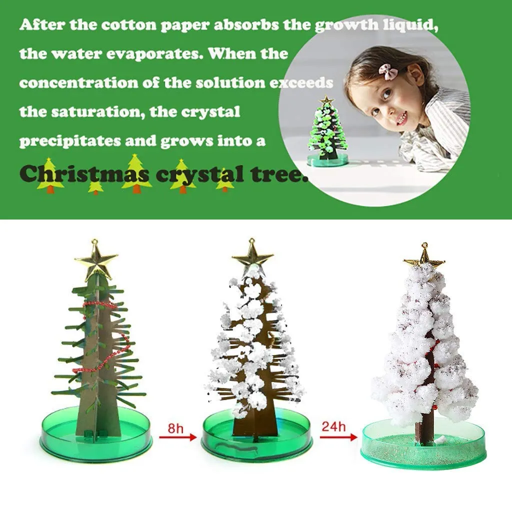 Magic Growing DIY Christmas Tree 4.webp
