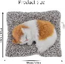 Sleeping Cat  3.webp