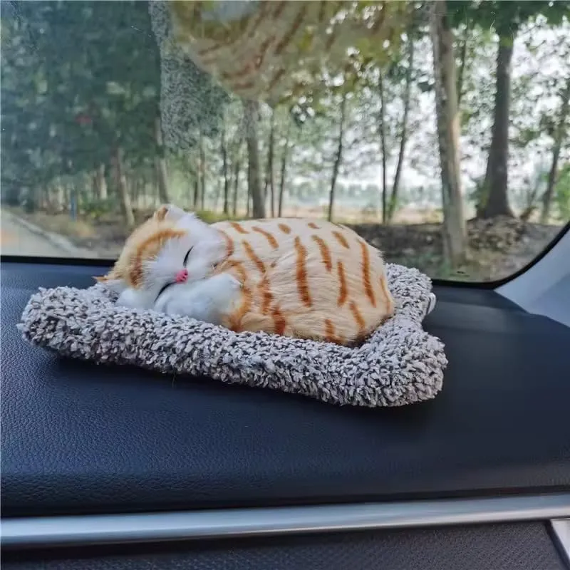Sleeping Cat 3.webp