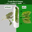 Fresh Herb Keeper 4.webp