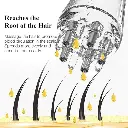 Hair Oil Applicator 3.webp