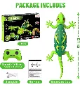 Wall Climbing Remote Control Lizard Toy – 2.4GHz RC with 360° Rotation, LED Lights & USB Rechargeable Indoor Stunt Toy for Kids 2.webp