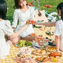 Picnic Mat 2.webp