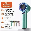 Hand Fan (M11) 2.webp