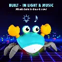 Crawling Crab Baby Musical Toy-2468 9.webp