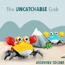 Crawling Crab Baby Musical Toy-2468 5.webp