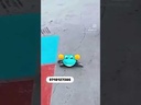 youtube - [Video]