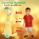 Dancing Animal 2.webp