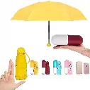 Capsule Umbrella  3.webp