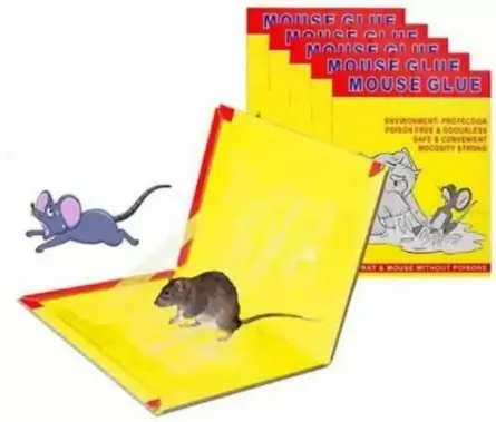 [KBS-526] Rat/Mouse Glue Trap Pad