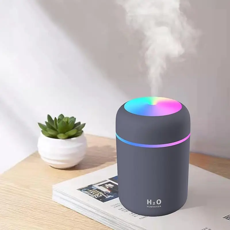H20 Humidifier