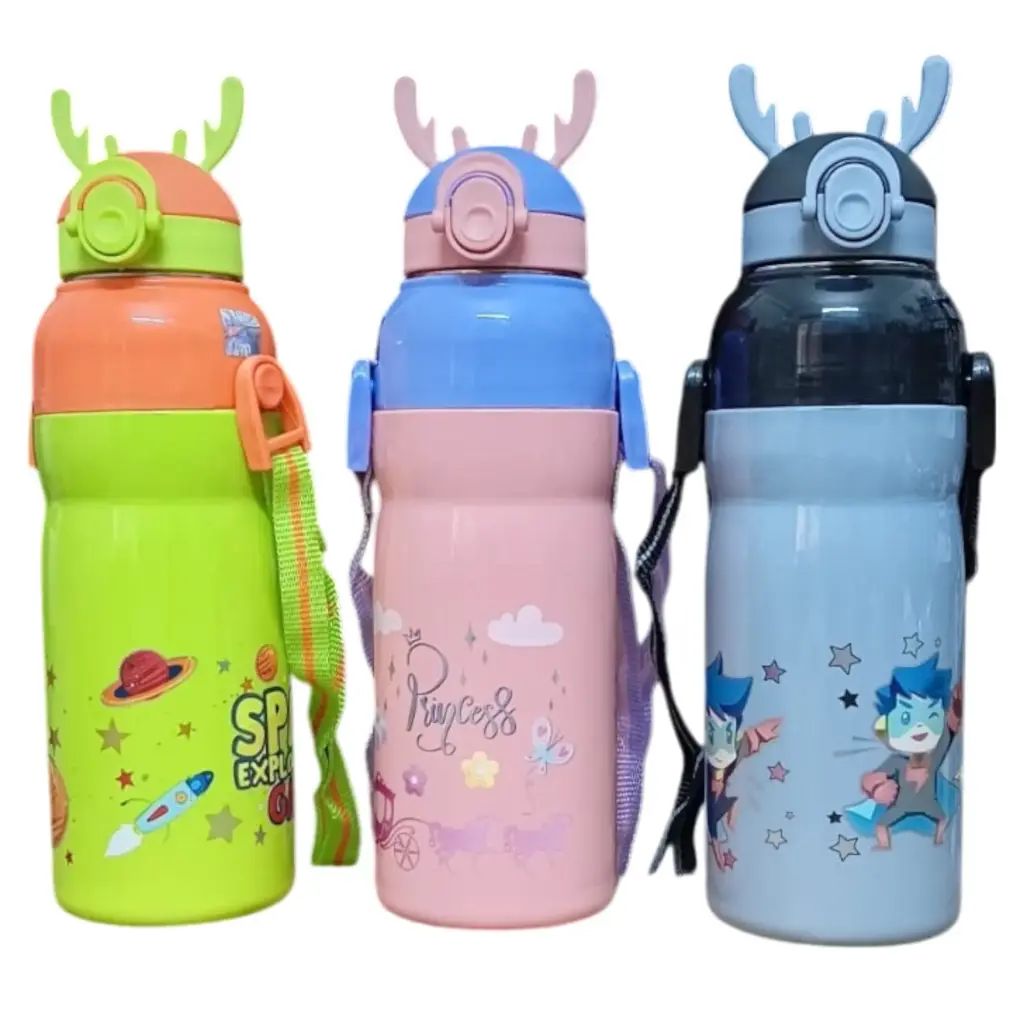 Rishabh Insulated Steel Water Bottle - Steel Fendy 600
