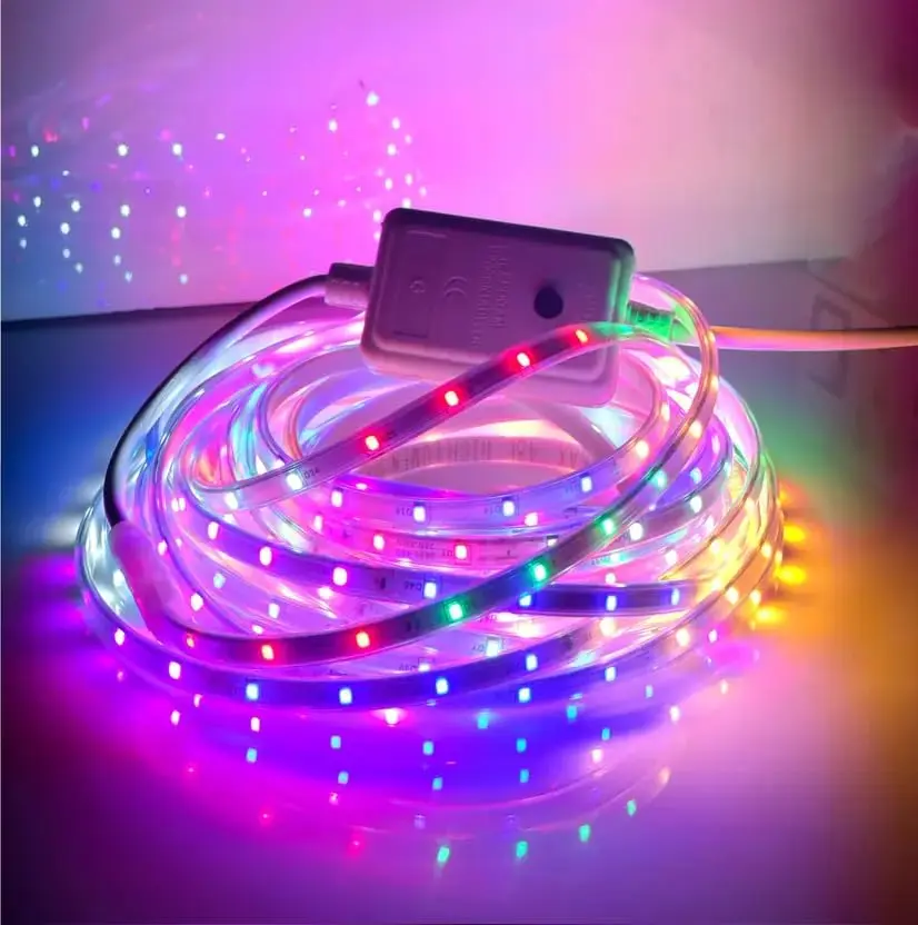 LED Rope Light (10 Meter)