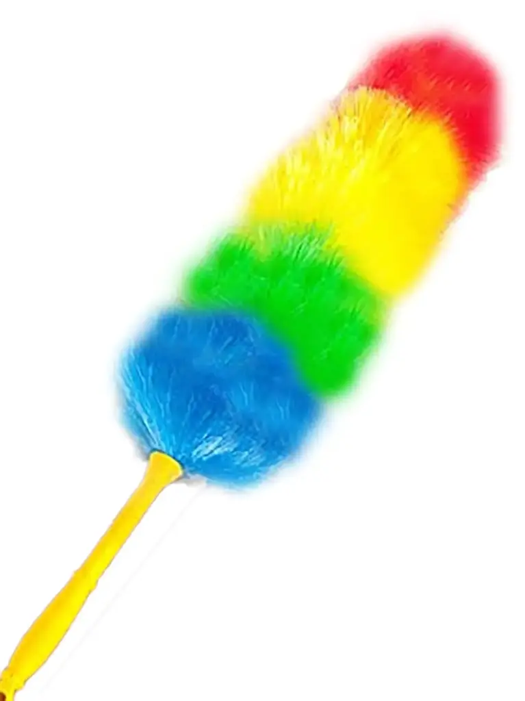 Feather Duster