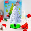 Magic Growing DIY Christmas Tree