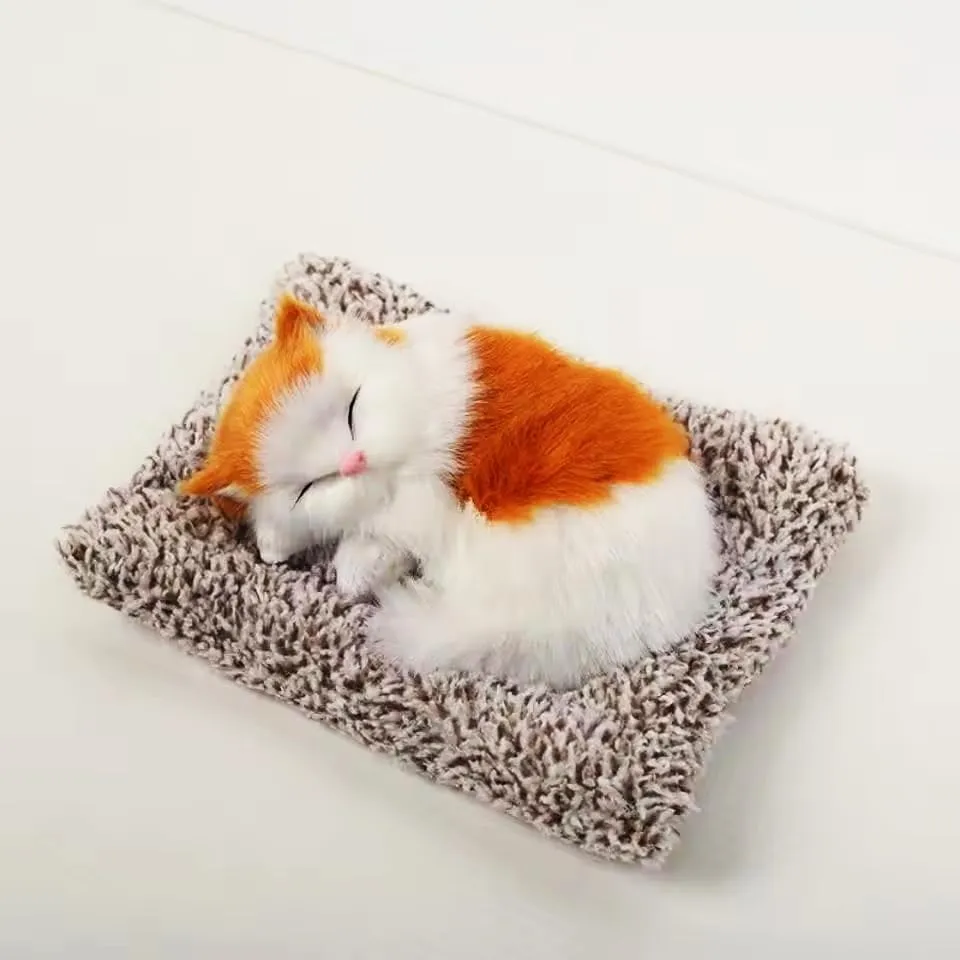 Sleeping Cat 