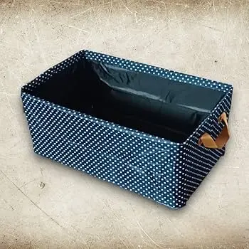 26L STORAGE ORGANIZER (Heavy, Blue)