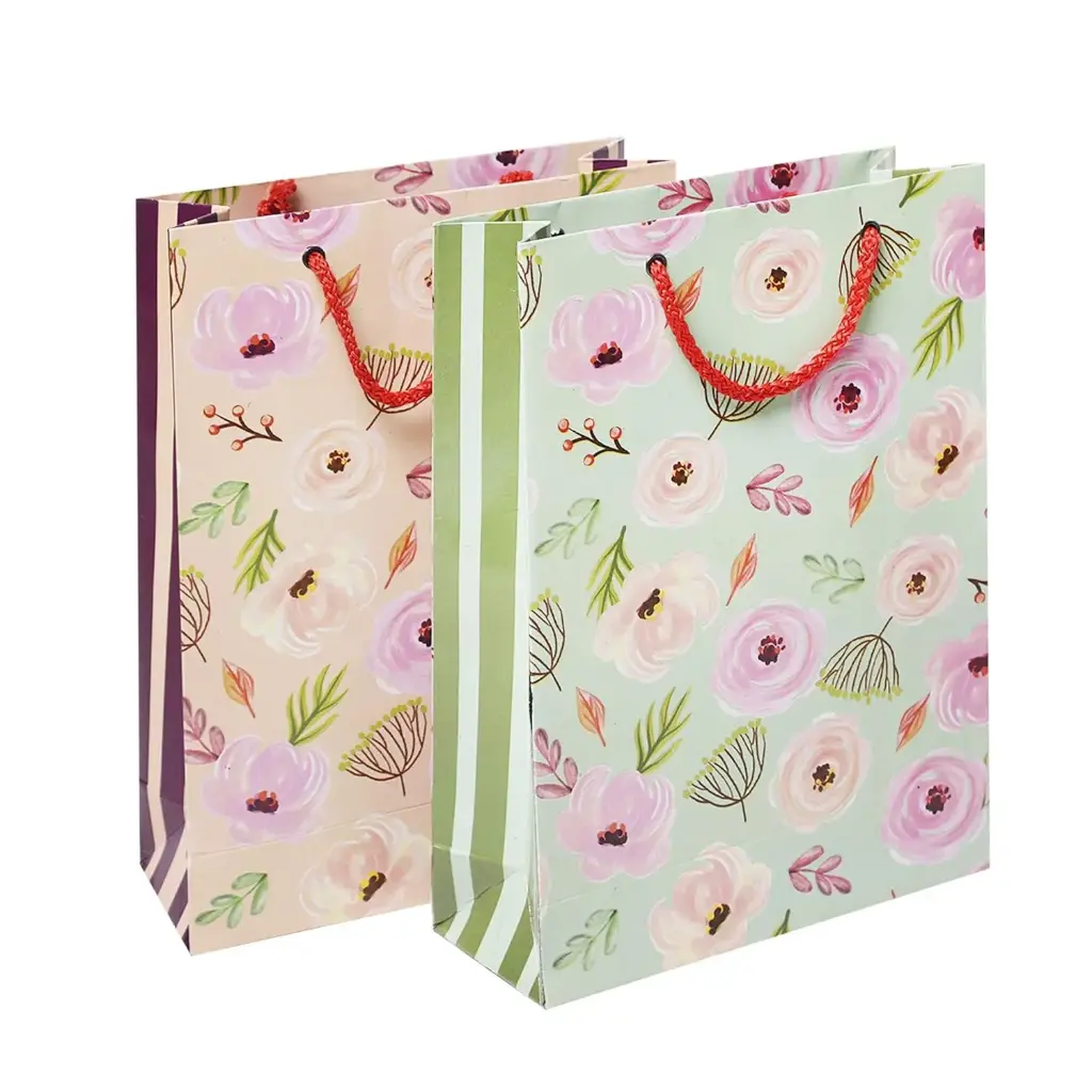 Carry Bag (Medium)